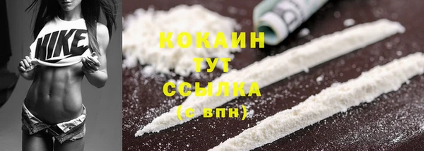 хмурый Арсеньев